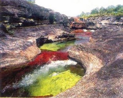 Cano Cristales hmseh-e50048fceb.jpg